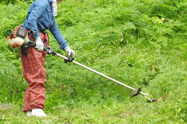 草刈り・草取り