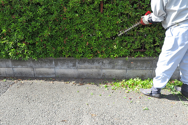 庭木の剪定・伐採