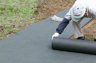 防草シート敷き