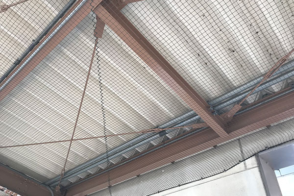 ハト避けネット