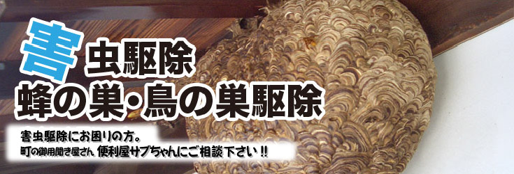 害虫駆除 ・蜂の巣・鳥の巣駆除