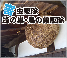 害虫駆除・蜂の巣・鳥の巣駆除