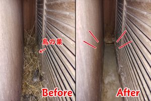 鳥の巣駆除