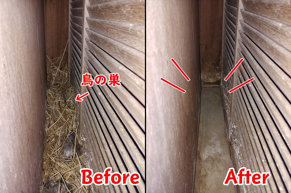 鳥の巣駆除