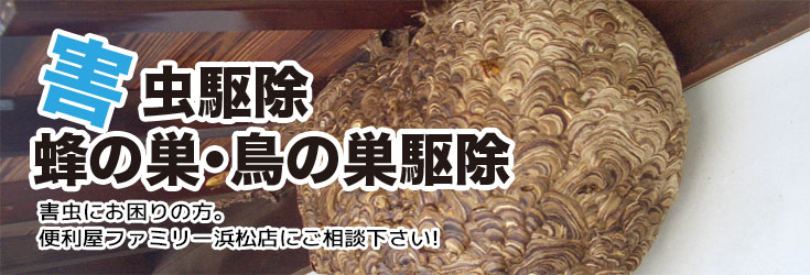 害虫駆除 ・蜂の巣・鳥の巣駆除